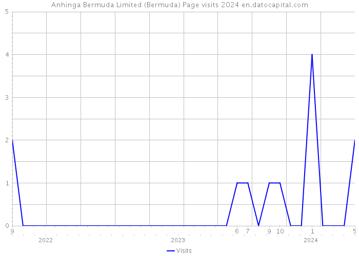 Anhinga Bermuda Limited (Bermuda) Page visits 2024 