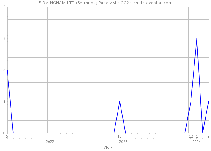 BIRMINGHAM LTD (Bermuda) Page visits 2024 