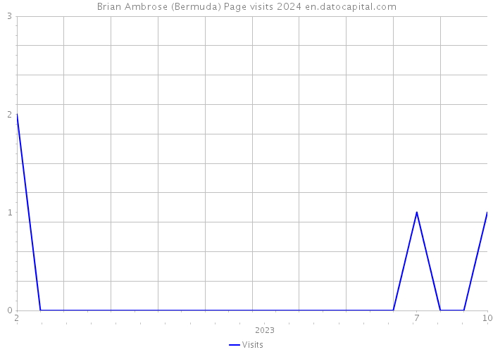 Brian Ambrose (Bermuda) Page visits 2024 