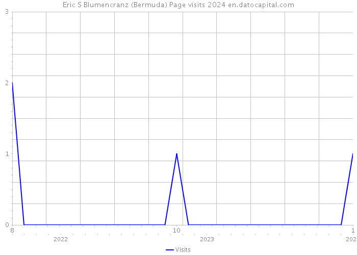 Eric S Blumencranz (Bermuda) Page visits 2024 