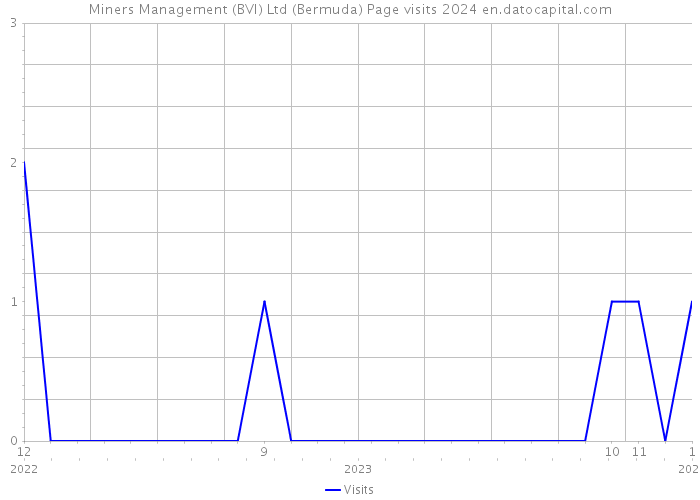 Miners Management (BVI) Ltd (Bermuda) Page visits 2024 