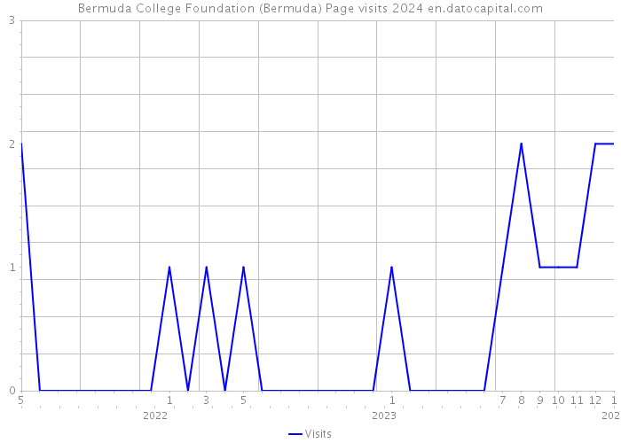 Bermuda College Foundation (Bermuda) Page visits 2024 