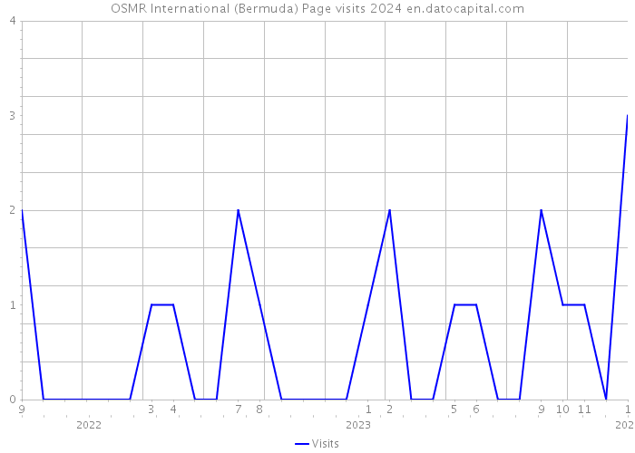 OSMR International (Bermuda) Page visits 2024 