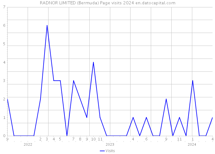 RADNOR LIMITED (Bermuda) Page visits 2024 