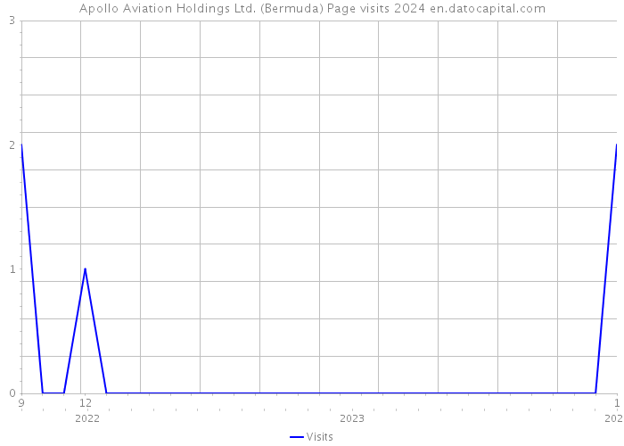 Apollo Aviation Holdings Ltd. (Bermuda) Page visits 2024 