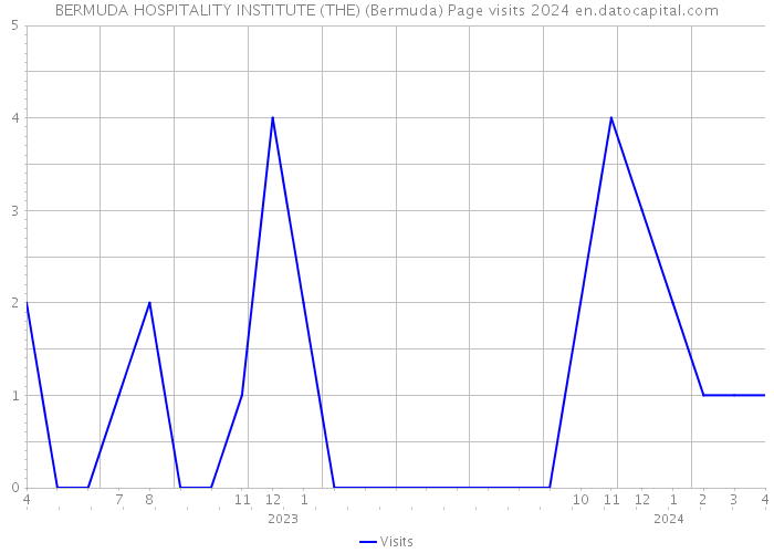 BERMUDA HOSPITALITY INSTITUTE (THE) (Bermuda) Page visits 2024 