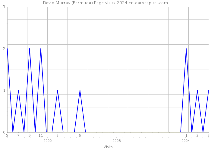 David Murray (Bermuda) Page visits 2024 