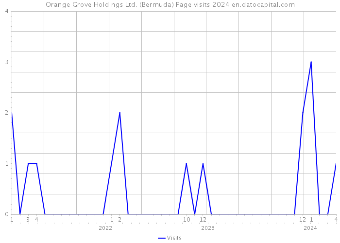 Orange Grove Holdings Ltd. (Bermuda) Page visits 2024 
