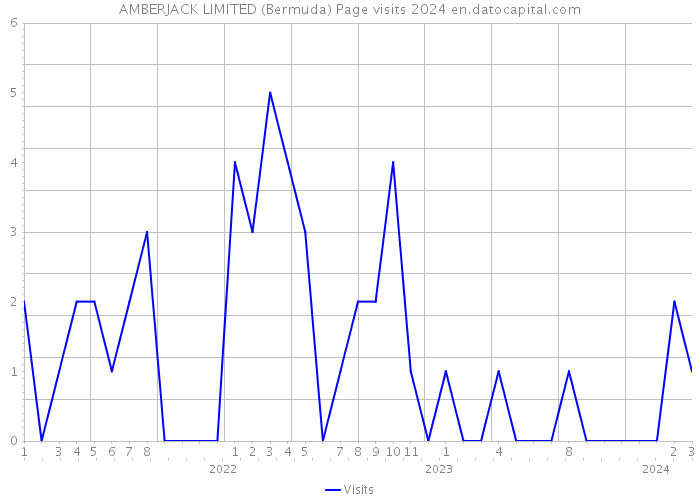 AMBERJACK LIMITED (Bermuda) Page visits 2024 