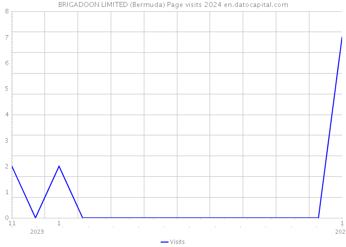 BRIGADOON LIMITED (Bermuda) Page visits 2024 
