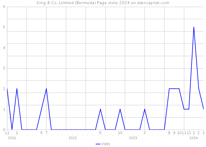 King & Co. Limited (Bermuda) Page visits 2024 