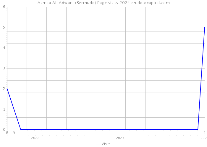 Asmaa Al-Adwani (Bermuda) Page visits 2024 