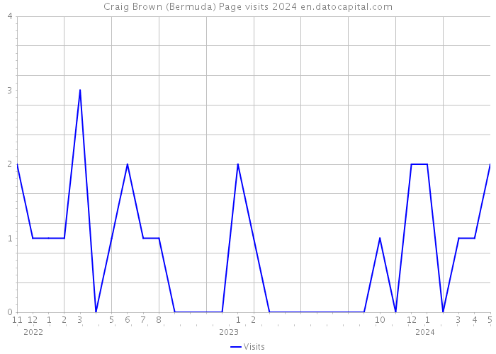 Craig Brown (Bermuda) Page visits 2024 