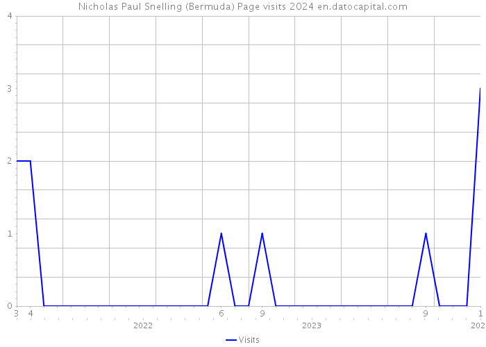 Nicholas Paul Snelling (Bermuda) Page visits 2024 