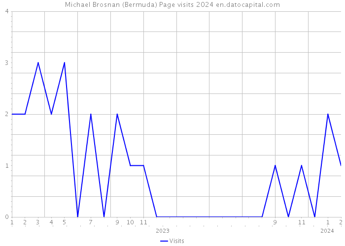 Michael Brosnan (Bermuda) Page visits 2024 