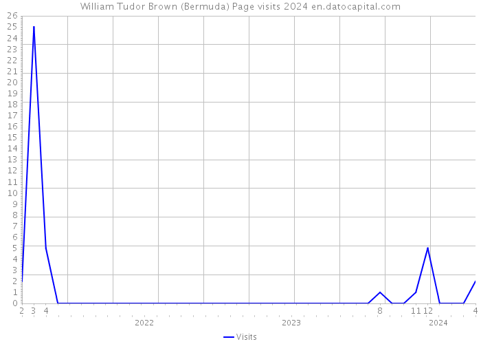 William Tudor Brown (Bermuda) Page visits 2024 