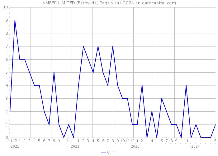 AMBER LIMITED (Bermuda) Page visits 2024 
