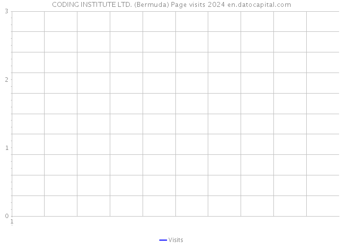 CODING INSTITUTE LTD. (Bermuda) Page visits 2024 