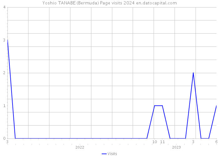 Yoshio TANABE (Bermuda) Page visits 2024 
