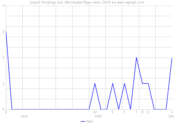 Liquid Holdings Ltd. (Bermuda) Page visits 2024 