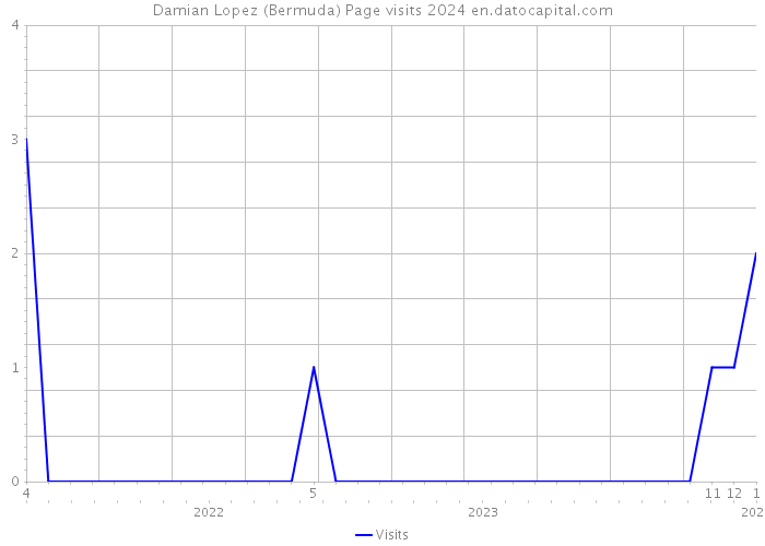 Damian Lopez (Bermuda) Page visits 2024 