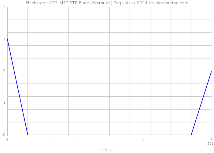 Blackstone CSP-MST STR Fund (Bermuda) Page visits 2024 