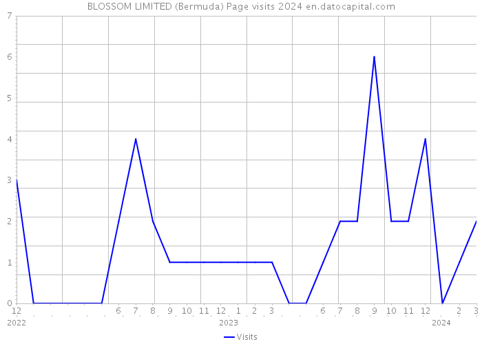 BLOSSOM LIMITED (Bermuda) Page visits 2024 