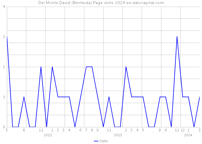Del Monte David (Bermuda) Page visits 2024 