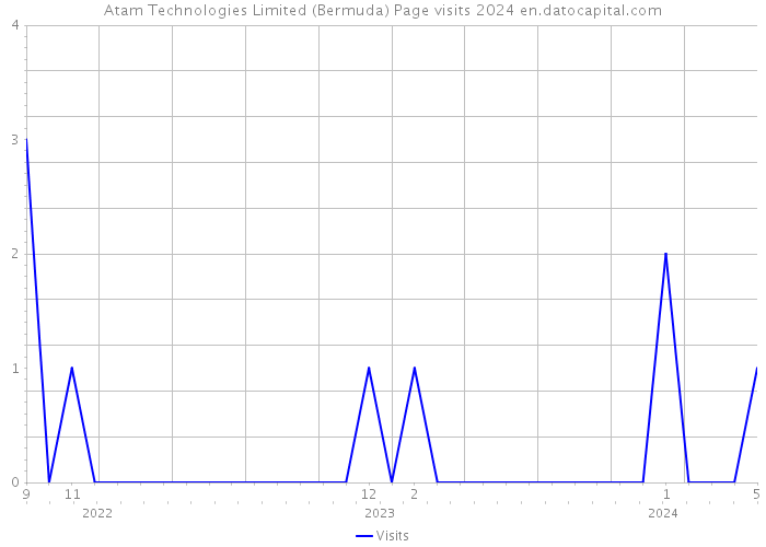 Atam Technologies Limited (Bermuda) Page visits 2024 