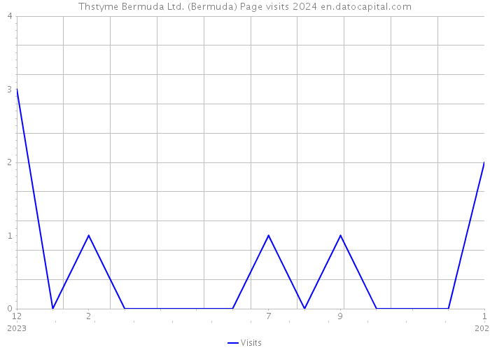 Thstyme Bermuda Ltd. (Bermuda) Page visits 2024 
