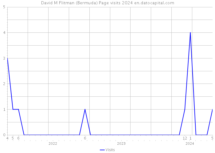 David M Flitman (Bermuda) Page visits 2024 