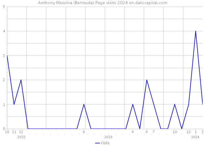 Anthony Messina (Bermuda) Page visits 2024 
