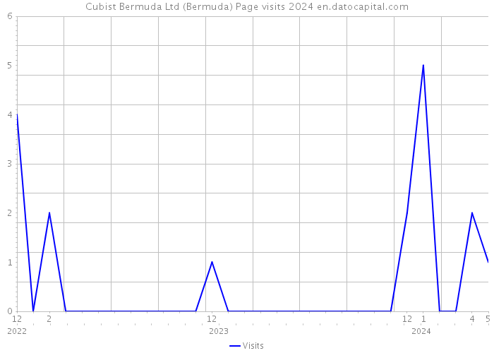 Cubist Bermuda Ltd (Bermuda) Page visits 2024 