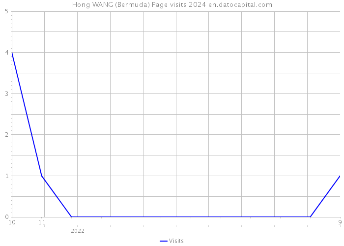 Hong WANG (Bermuda) Page visits 2024 