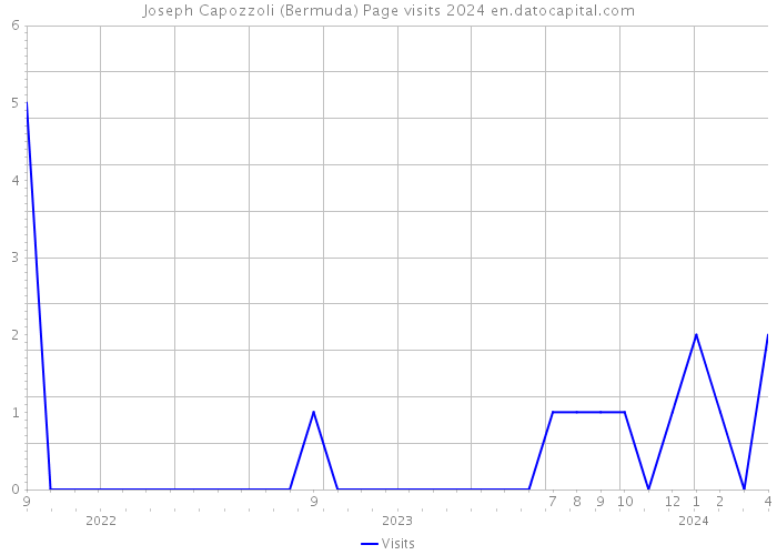 Joseph Capozzoli (Bermuda) Page visits 2024 