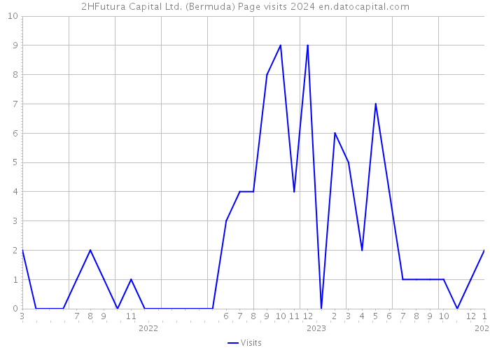 2HFutura Capital Ltd. (Bermuda) Page visits 2024 