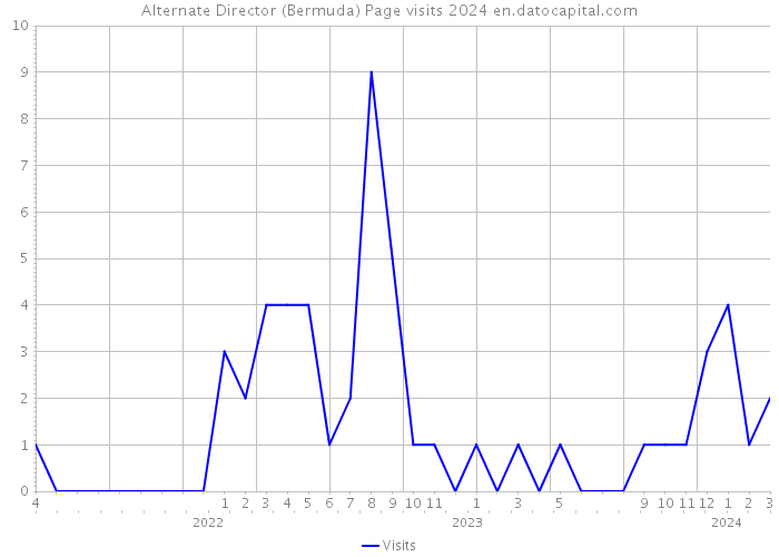 Alternate Director (Bermuda) Page visits 2024 