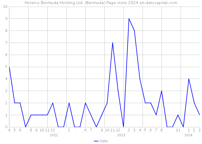 Hotelco Bermuda Holding Ltd. (Bermuda) Page visits 2024 