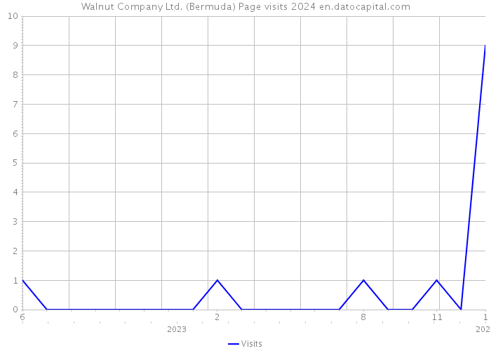 Walnut Company Ltd. (Bermuda) Page visits 2024 