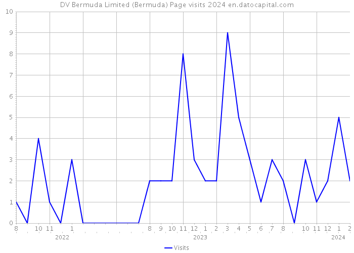 DV Bermuda Limited (Bermuda) Page visits 2024 