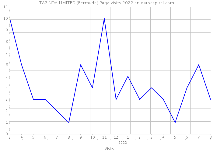 TAZINDA LIMITED (Bermuda) Page visits 2022 