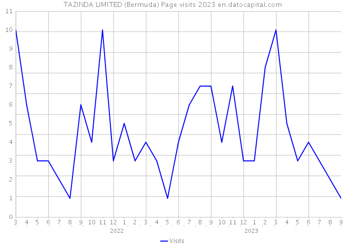 TAZINDA LIMITED (Bermuda) Page visits 2023 