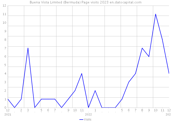 Buena Vista Limited (Bermuda) Page visits 2023 