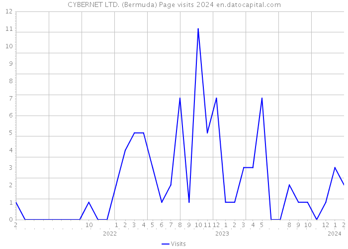 CYBERNET LTD. (Bermuda) Page visits 2024 