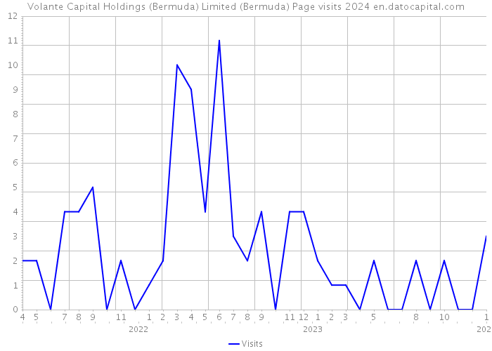 Volante Capital Holdings (Bermuda) Limited (Bermuda) Page visits 2024 