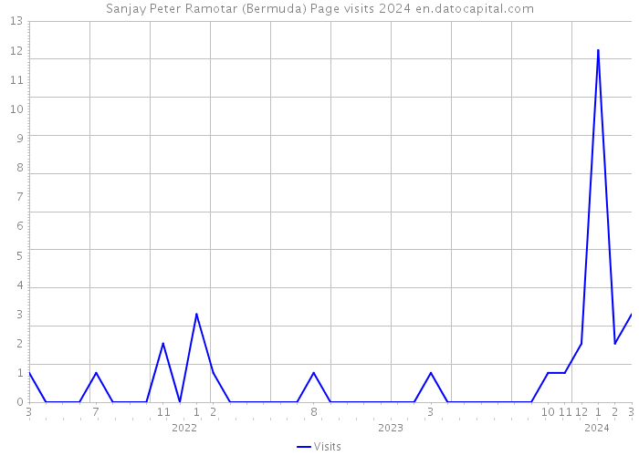 Sanjay Peter Ramotar (Bermuda) Page visits 2024 