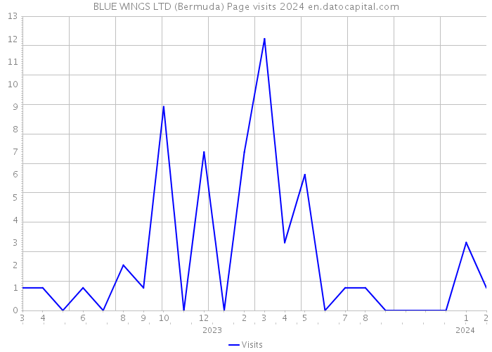 BLUE WINGS LTD (Bermuda) Page visits 2024 