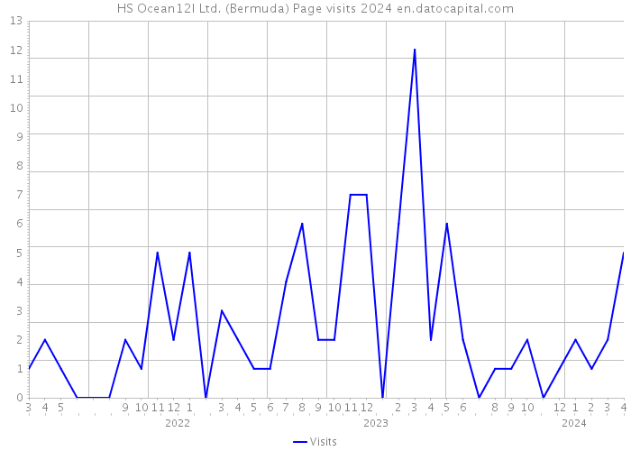 HS Ocean12I Ltd. (Bermuda) Page visits 2024 