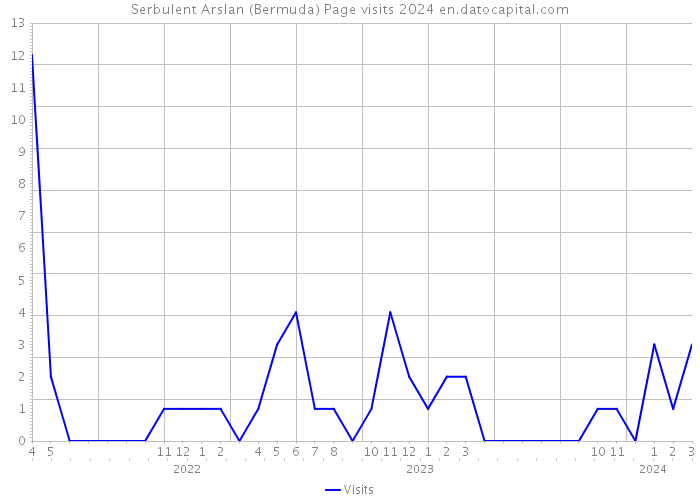 Serbulent Arslan (Bermuda) Page visits 2024 