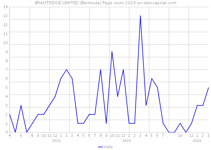 BRANTRIDGE LIMITED (Bermuda) Page visits 2024 